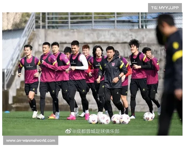 足球俱乐部引进外援策略分析及其对球队竞争力的提升作用 足球俱乐部引进外援策略分析及其对球队竞争力的提升作用